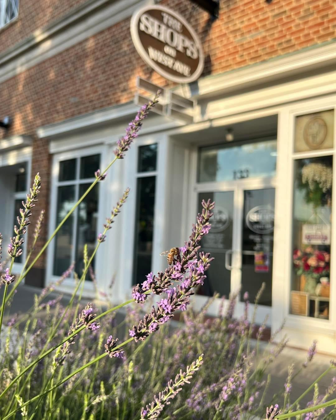 Cannon Honey Mill 10% Off